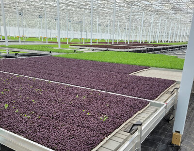 Hydroponics - Floats